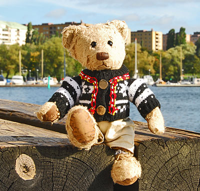 teddy bear in norwegian