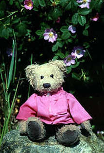 A pink nice outfit for Gregory Bear