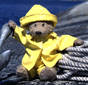 Teddy Bear in reign coat