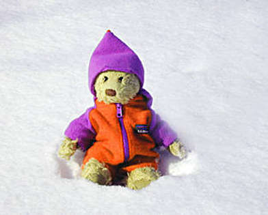 Teddy Bear in cute looking snow suite