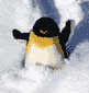 Pingu love to slide down a snow covered hill.