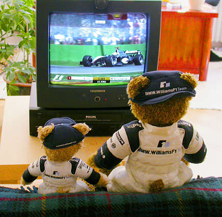Teddy Bear's watching F1
