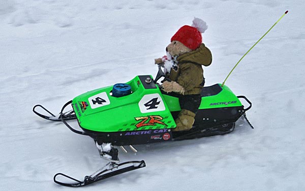 Artic cat racing team bears