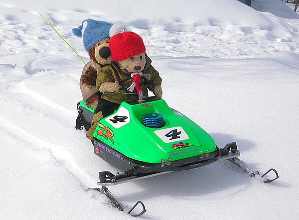 Teddy bear on snowmobile
