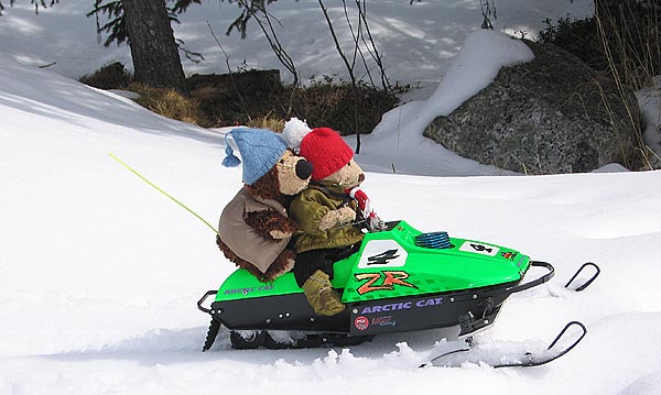 Snowmobile teddybear race