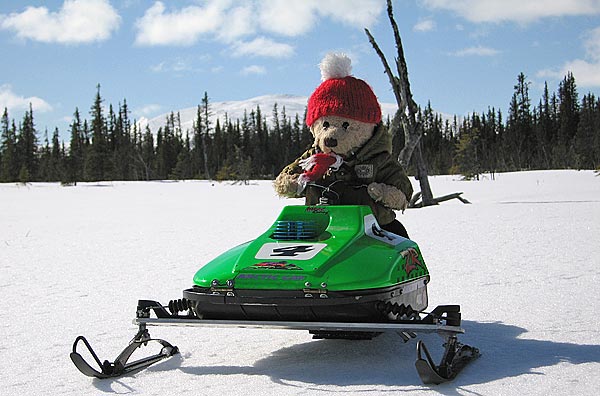 Teddy bear racing on snow