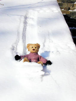 Teddy Bears playing in the snow