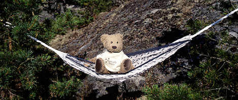 Teddy Bear having a swing in the summer