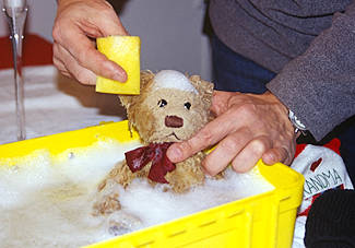 The yearly bath for Greggan bear