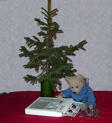 Teddy Bear and tannenbaum