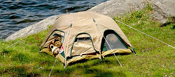 Teddy Bear tenting