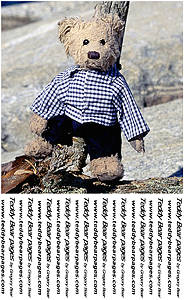Teddy Bear Poster