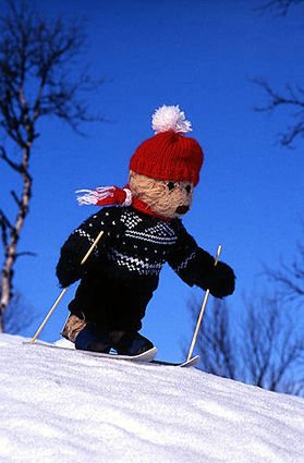 Teddy Bear Downhill skiing