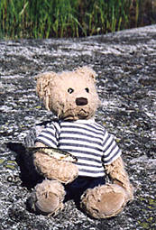Teddy Bear gone fishing