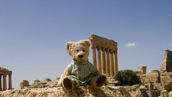 Teddy bear gregory in Baalbek