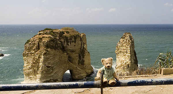 Beiruth pigionrocks and a nice teddy bear