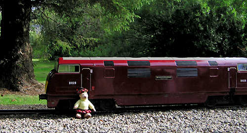 Teddy bear train driver