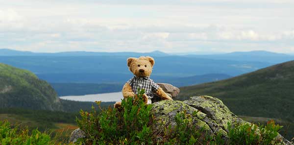 Greggan in the swedish alps Kittelfjäll